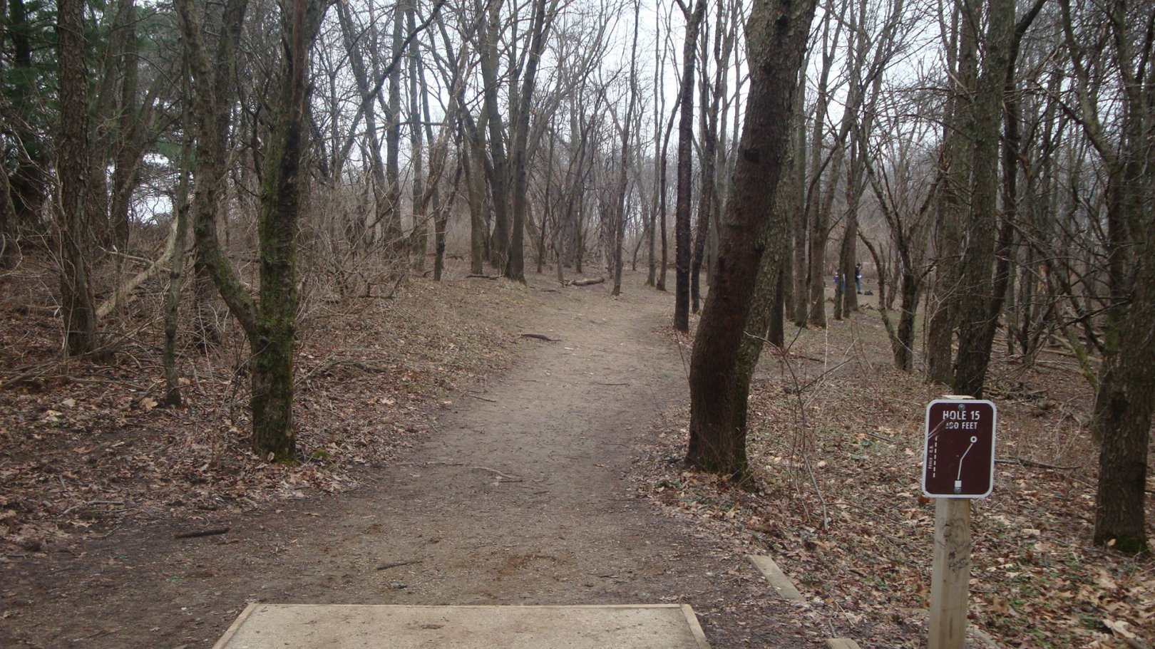 Hole 14 • Cold Brook Park (Climax, MI) Disc Golf Courses Disc Golf
