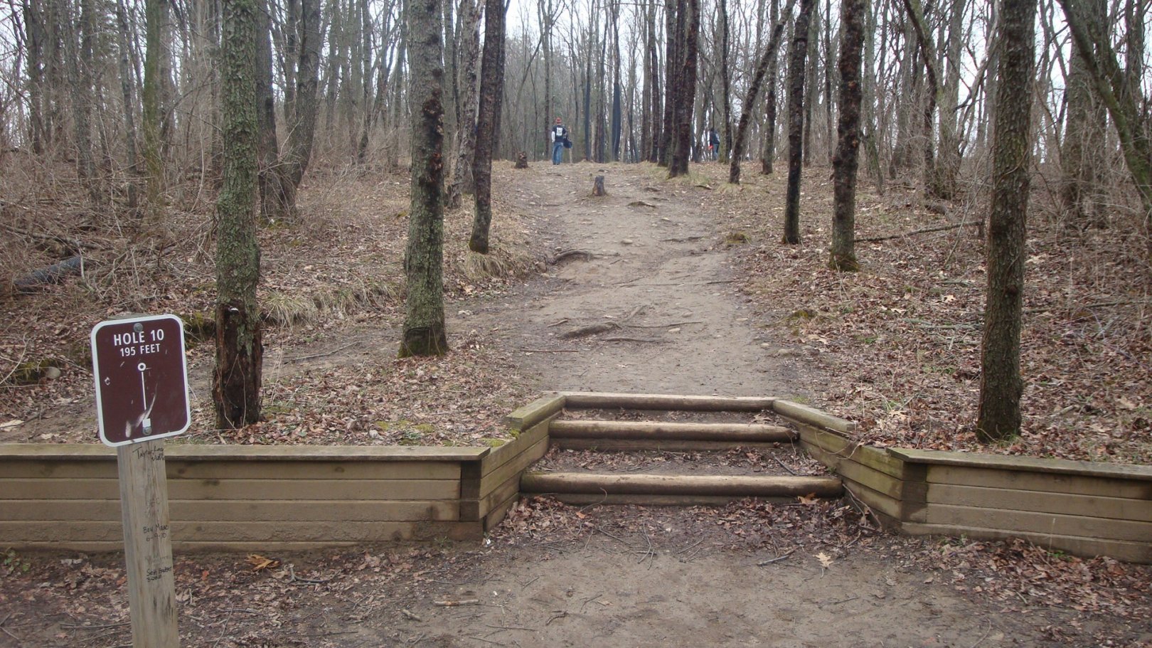 Hole 10 • Cold Brook Park (Climax, MI) Disc Golf Courses Disc Golf