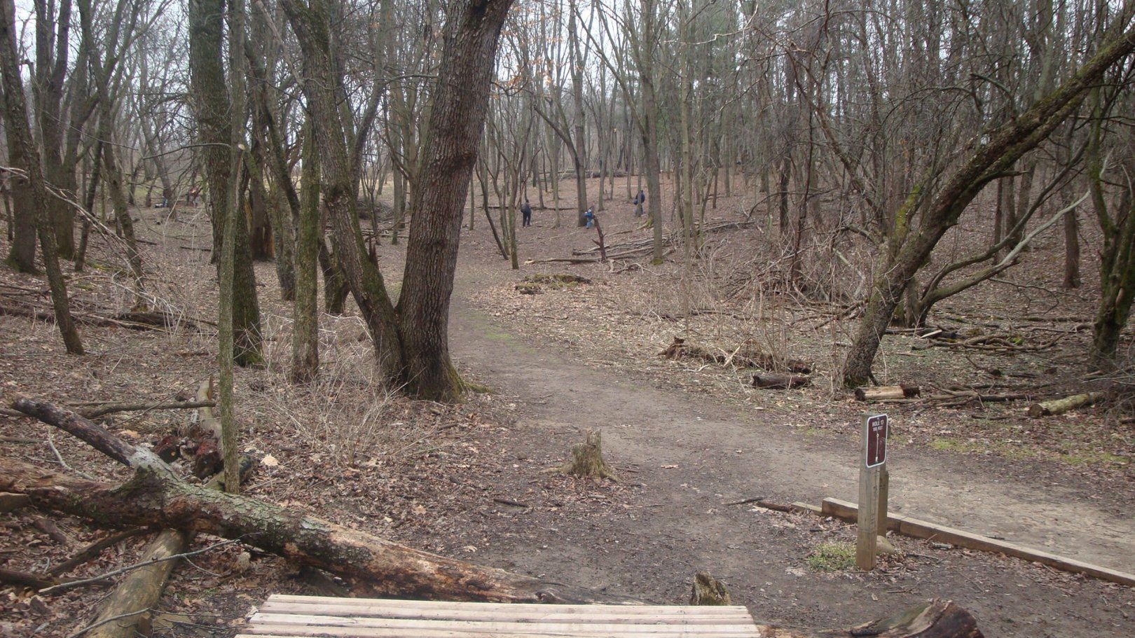 Hole 13 • Cold Brook Park (Climax, MI) Disc Golf Courses Disc Golf