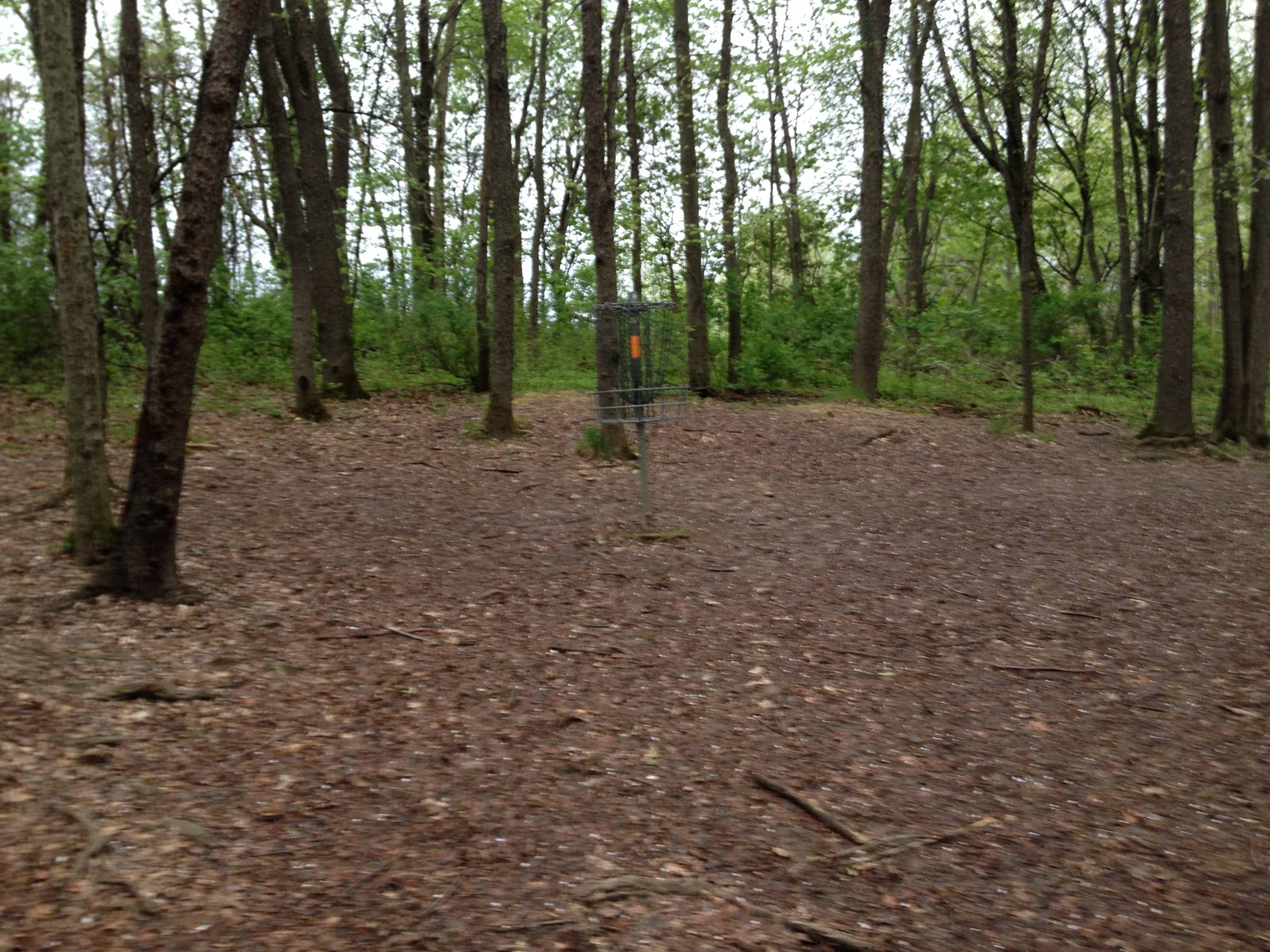 Hole 17 • Cold Brook Park (Climax, MI) Disc Golf Courses Disc Golf