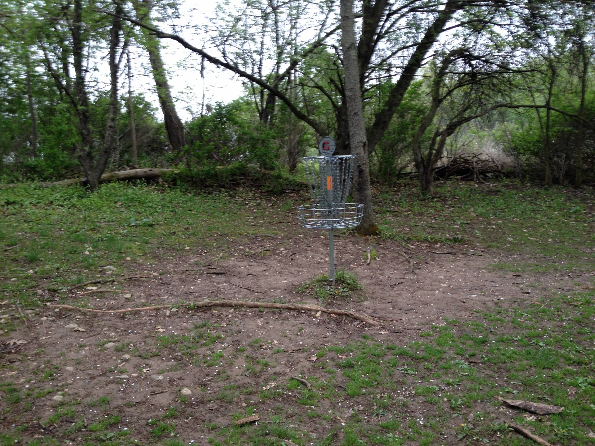 Hole 15 • Cold Brook Park (Climax, MI) Disc Golf Courses Disc Golf