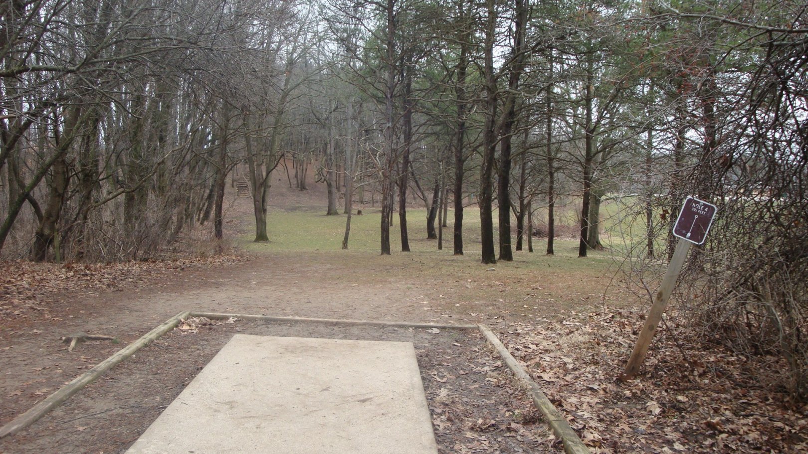 Hole 4 • Cold Brook Park (Climax, MI) Disc Golf Courses Disc Golf Scene