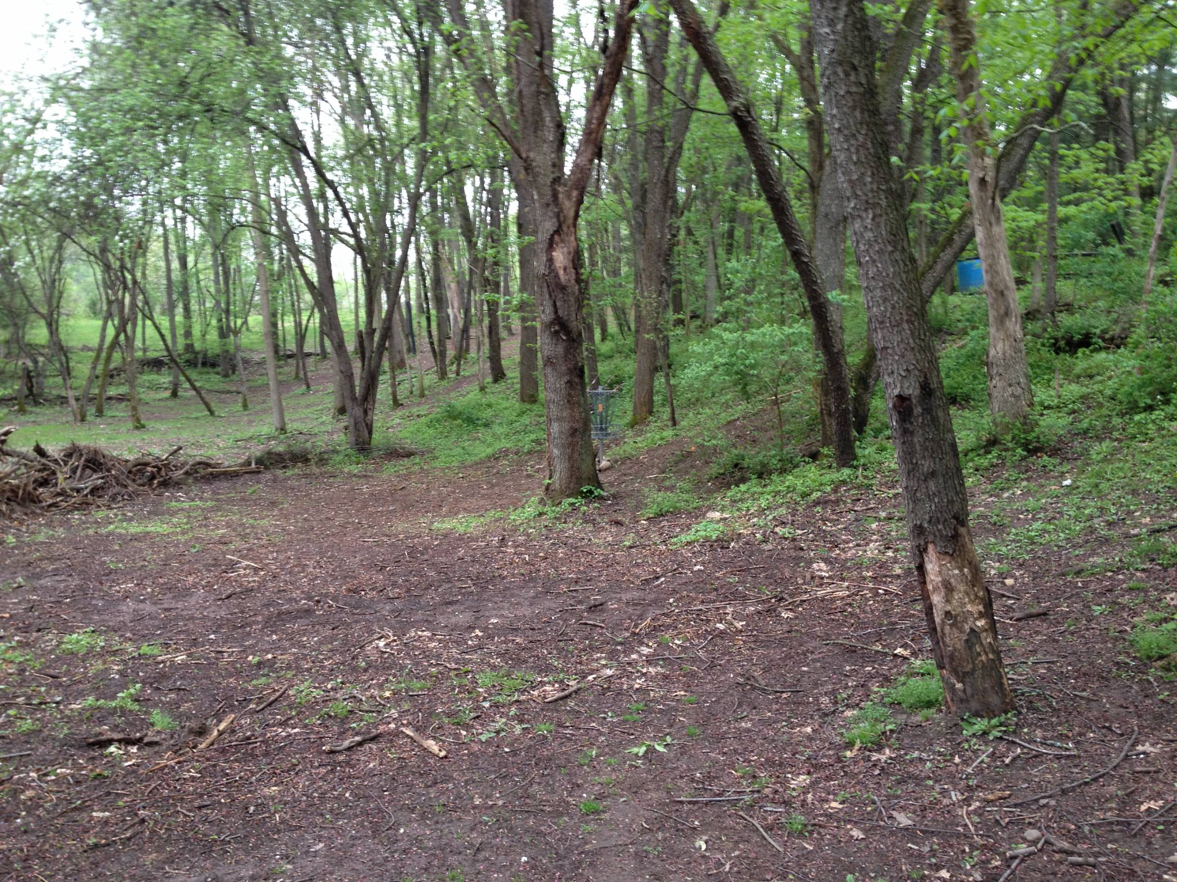 Hole 12 • Cold Brook Park (Climax, MI) Disc Golf Courses Disc Golf