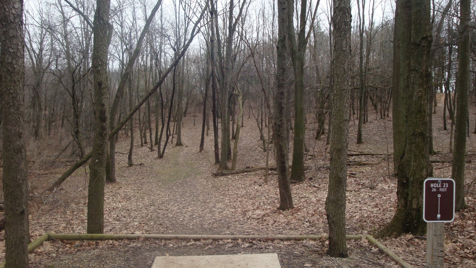 Hole 23 • Cold Brook Park (Climax, MI) Disc Golf Courses Disc Golf