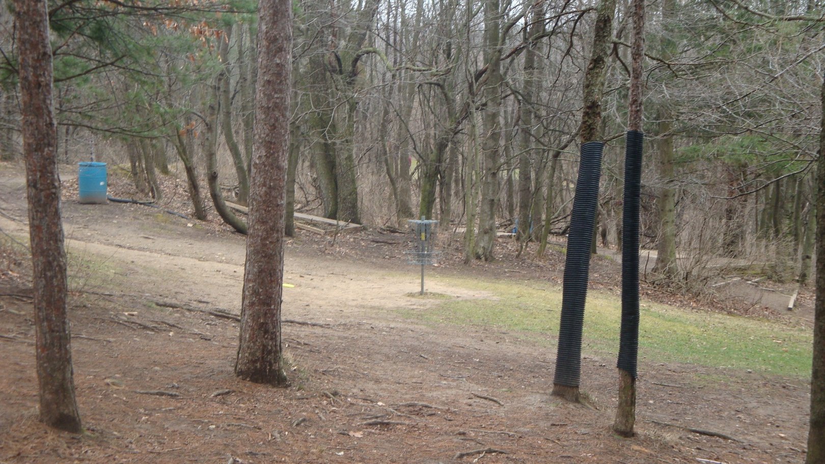 Hole 7 • Cold Brook Park (Climax, MI) Disc Golf Courses Disc Golf Scene