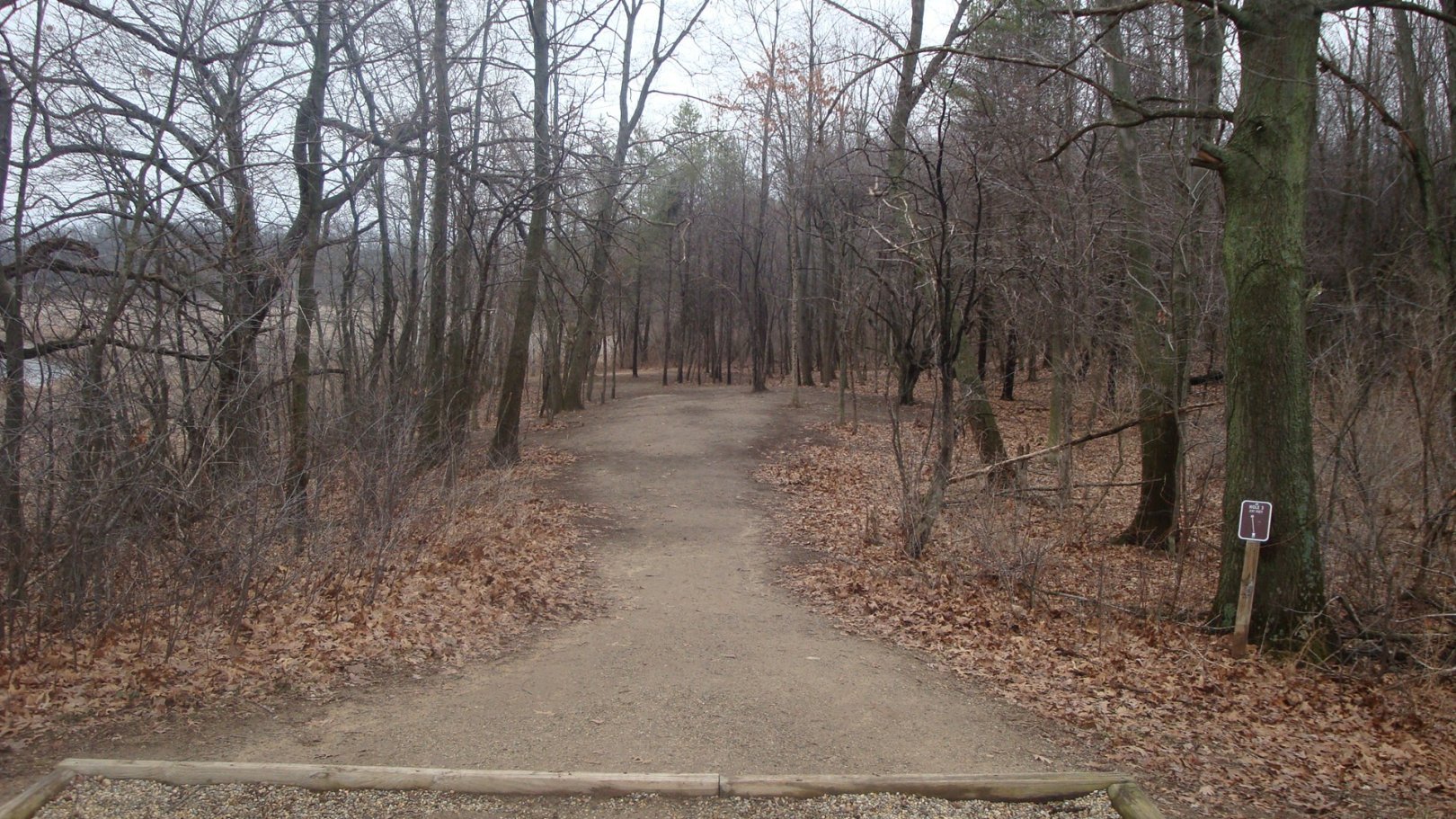 Hole 3 • Cold Brook Park (Climax, MI) Disc Golf Courses Disc Golf Scene