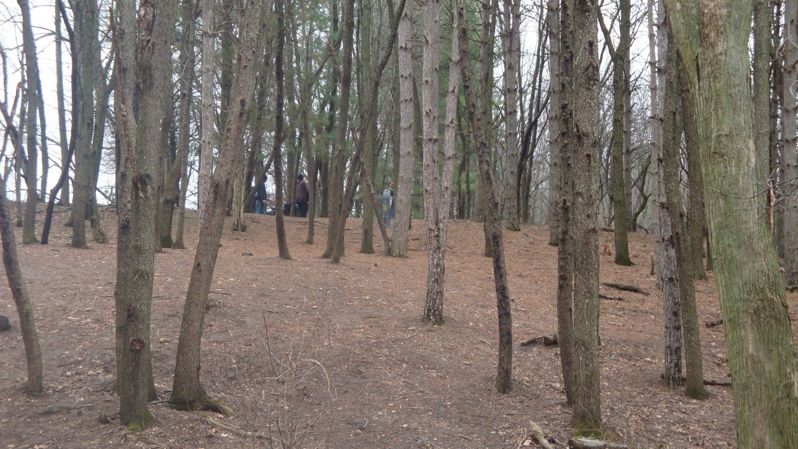 Hole 4 • Cold Brook Park (Climax, MI) Disc Golf Courses Disc Golf Scene