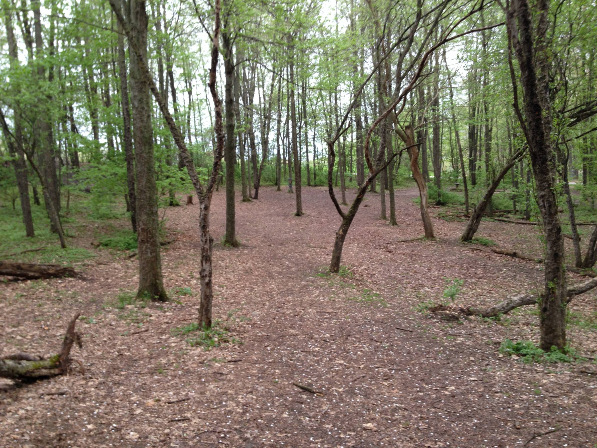 Hole 17 • Cold Brook Park (Climax, MI) Disc Golf Courses Disc Golf