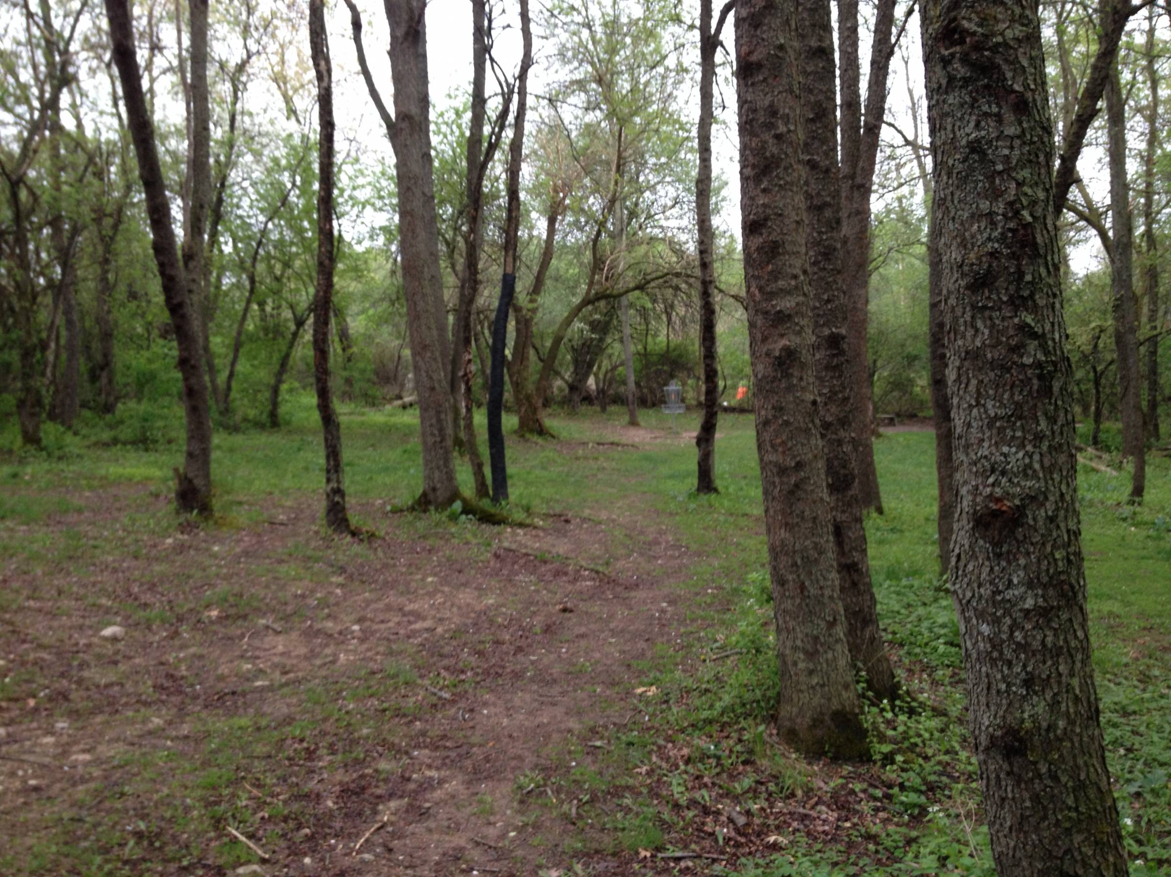 Hole 15 • Cold Brook Park (Climax, MI) Disc Golf Courses Disc Golf