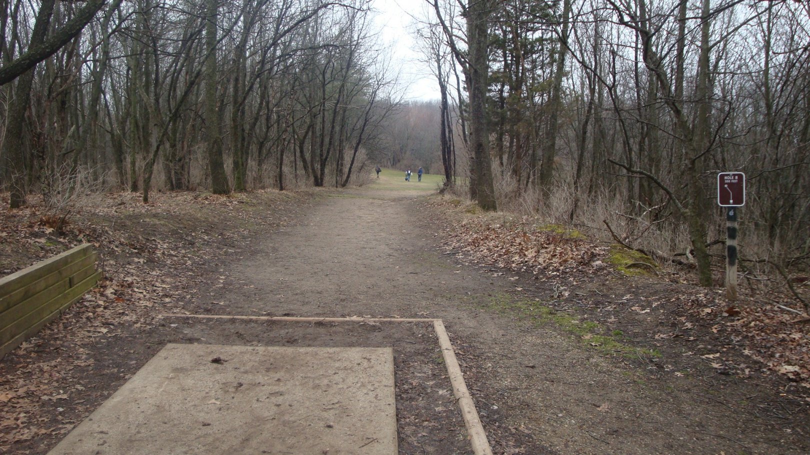 Hole 8 • Cold Brook Park (Climax, MI) Disc Golf Courses Disc Golf Scene