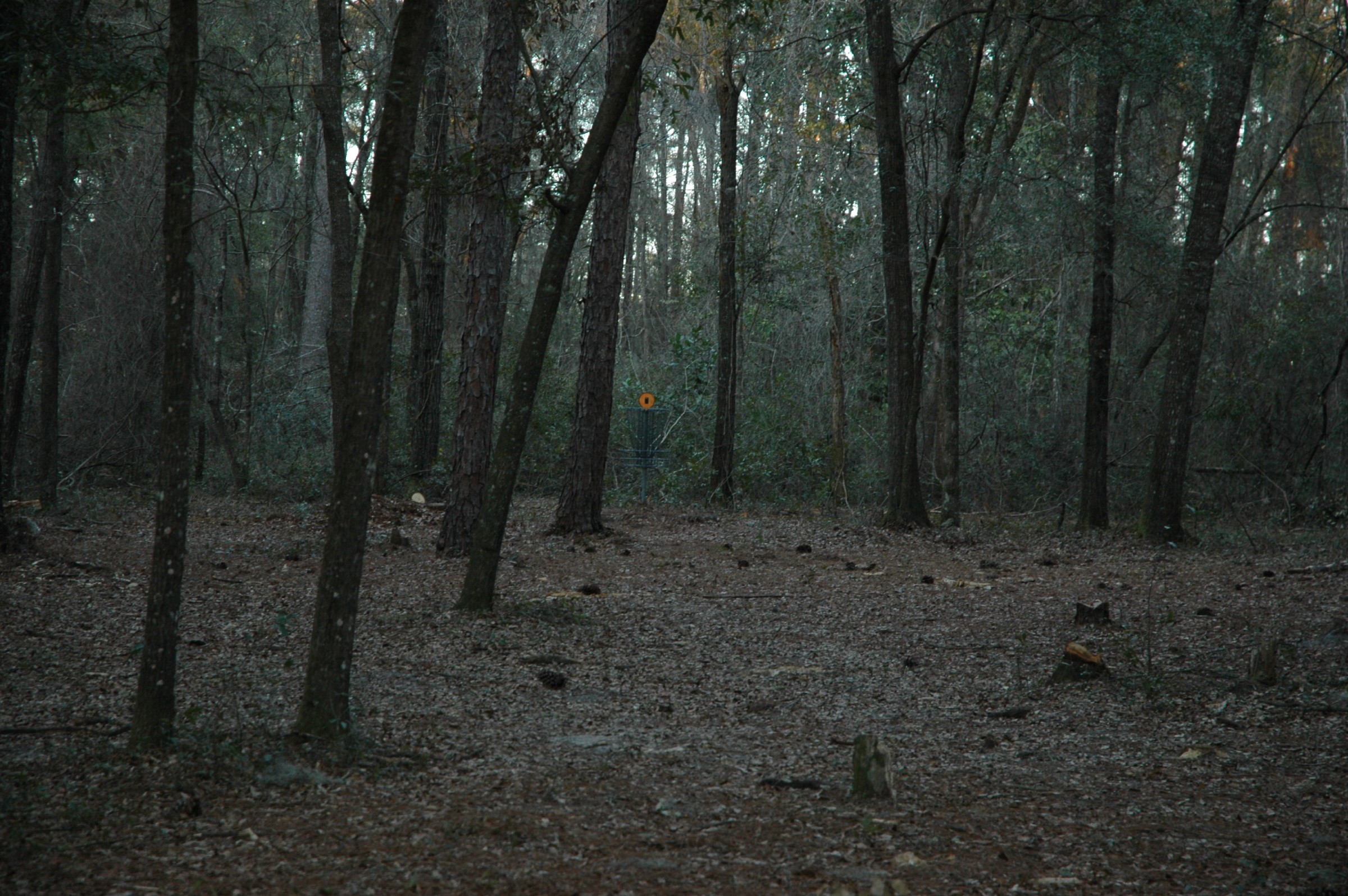 Hole 7 • Spirit of the Suwannee (Live Oak, FL) Disc Golf Courses Disc Golf Scene