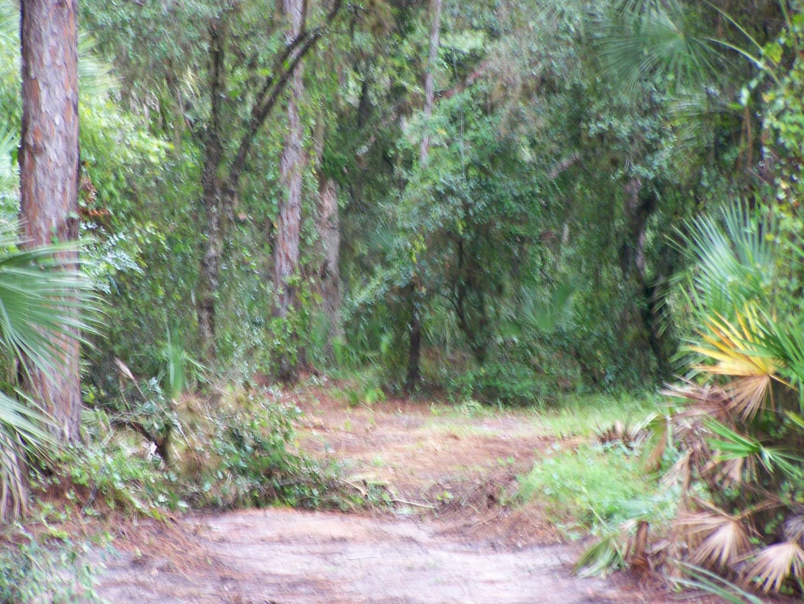 Hole 12 • North Charlotte Regional Park (North Port Charlotte, FL