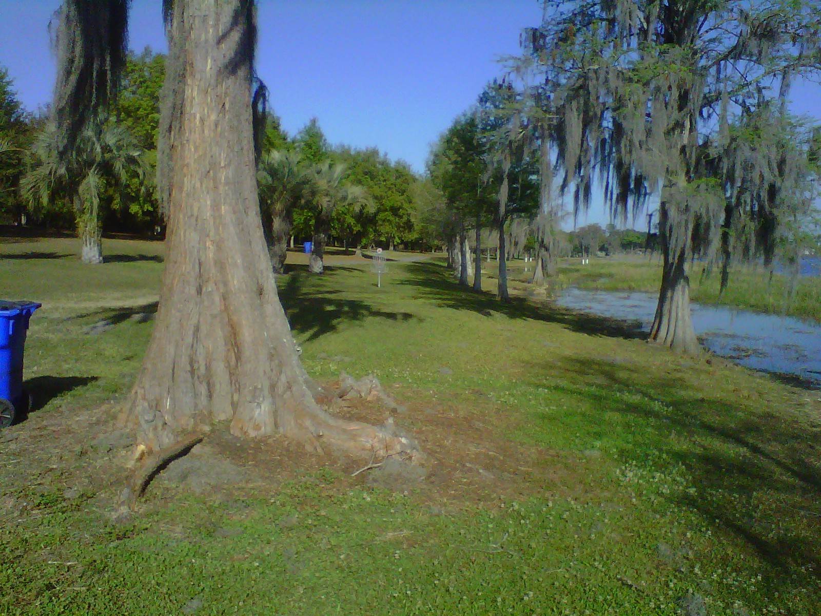 Hole 5 • Turkey Lake / Bill Frederick Park (Orlando, FL) Disc Golf