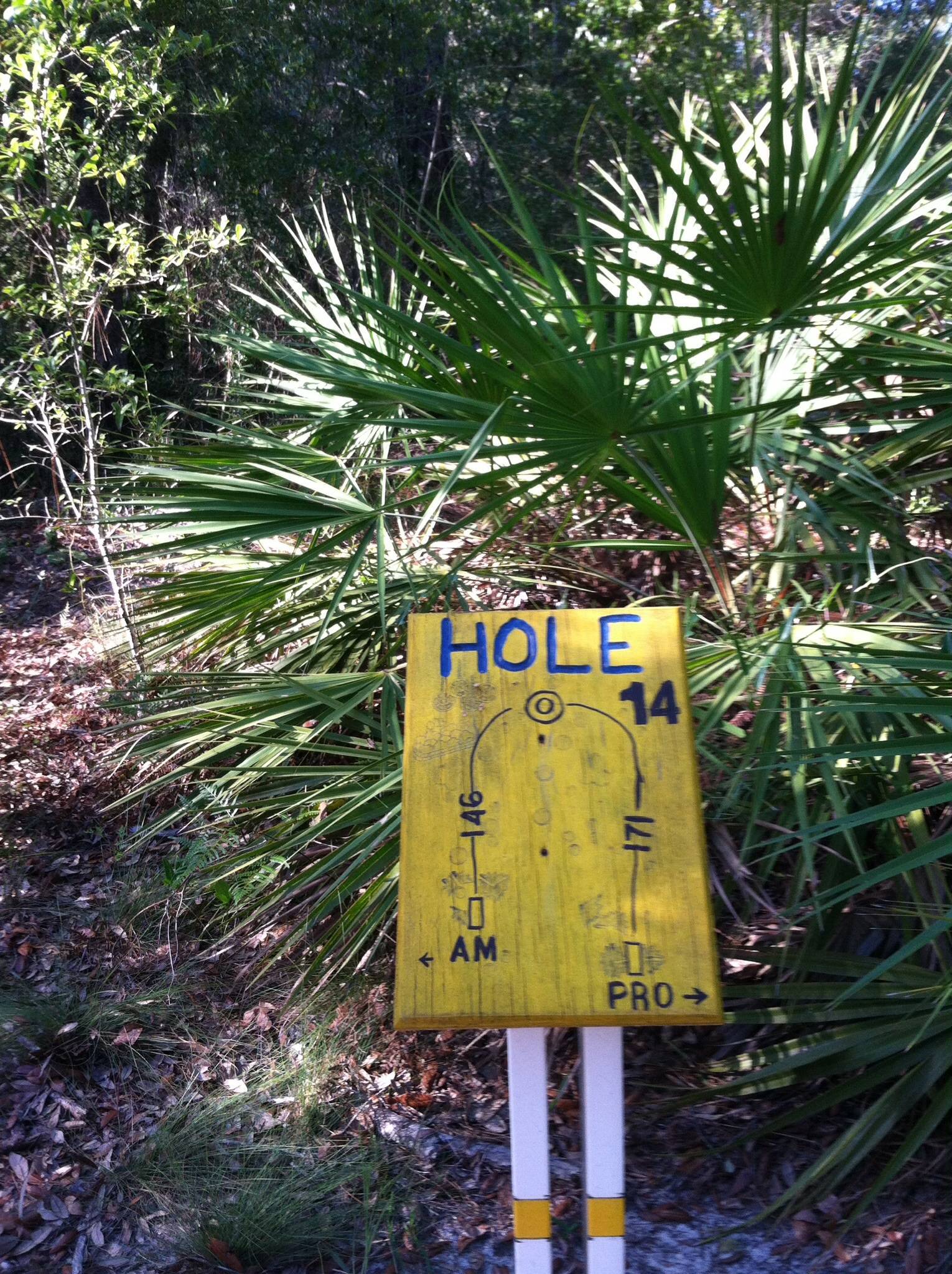 Hole 14 • Palmetto / Blue Angel Park (Pensacola, FL) Disc Golf
