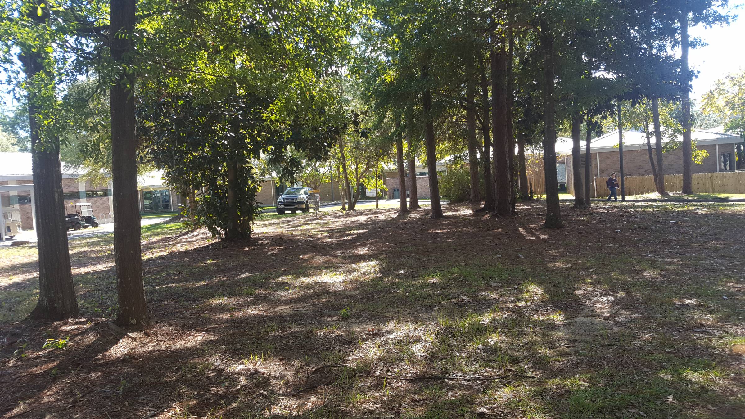 Hole 4 • University of West Florida (Pensacola, FL) Disc Golf Courses