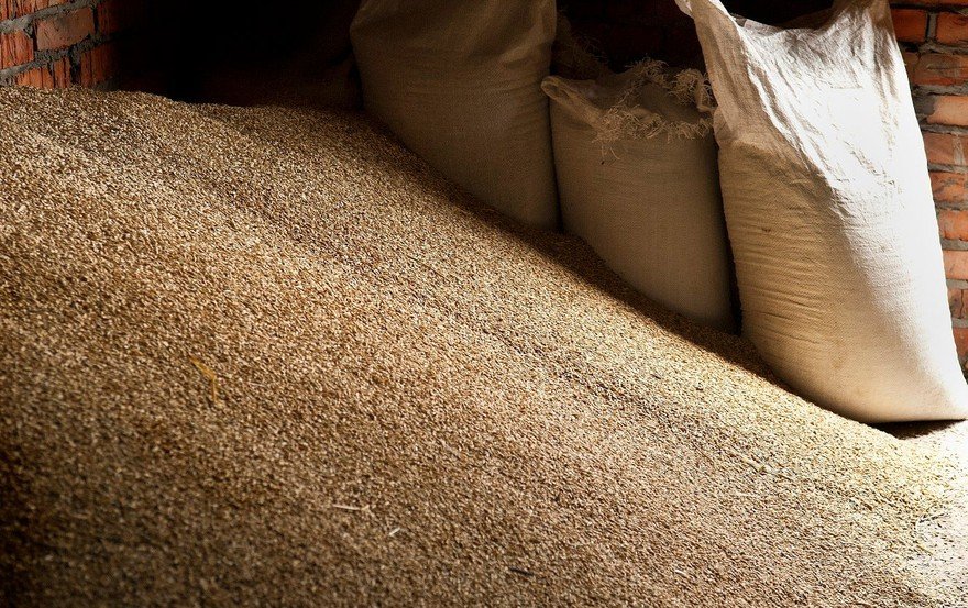 Commodity Trading: What It Is & How To Invest In Commodities | The Motley Fool