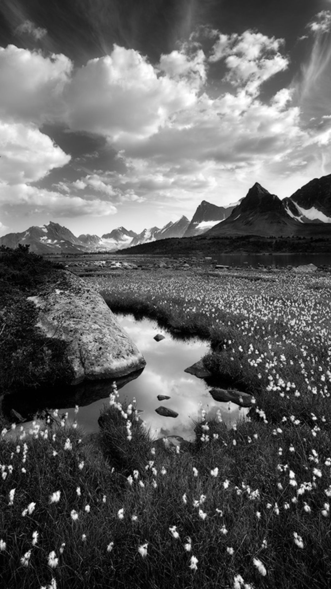 80 Hd Wallpapers White For Mobile Images My