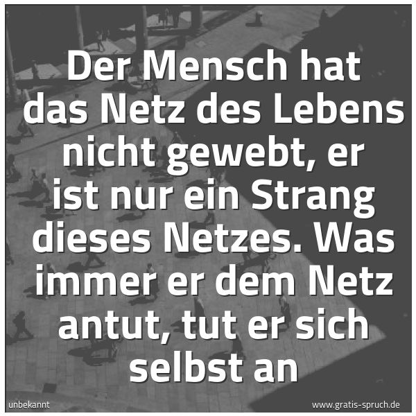 Spruch Der Mensch Hat Das Netz Des Lebens Nicht Und Weitere Spruche Zitate Und Weisheiten Gratis Spruch De