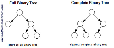 Difference Between Complete Binary Tree and Full Binary Tree | Compare ...