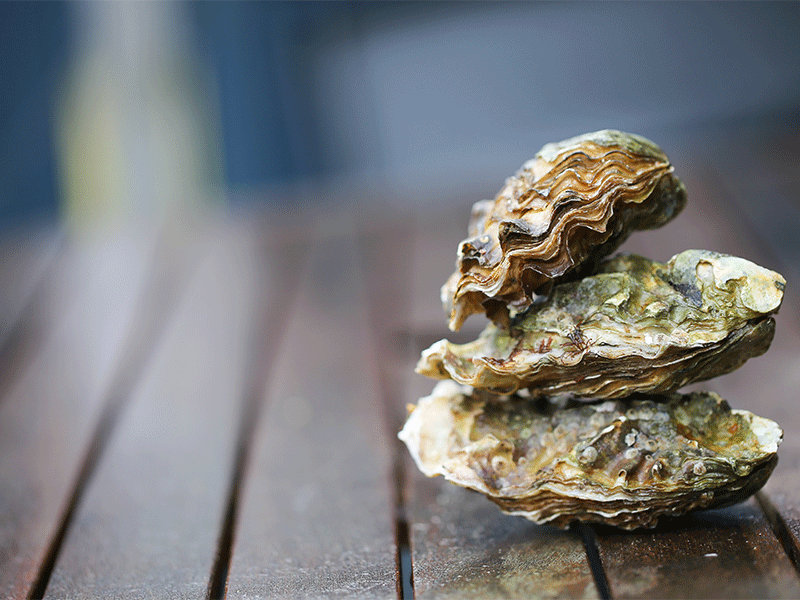 8 Natural foods that quickly burn fat Oyster