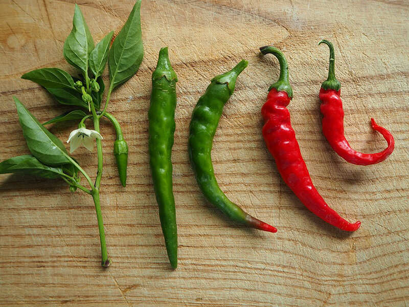 10 Reasons why green chillies are good for your health Spice it up!