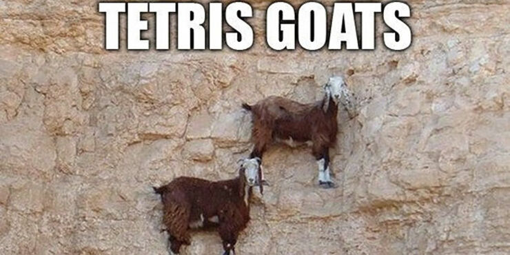 'Tetris Goats' Is The Bonus Level The Game Always Needed