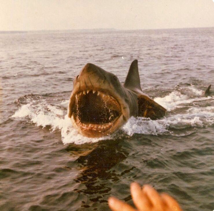 Rare Photos Show Behind The Scenes Filming Of 'Jaws'
