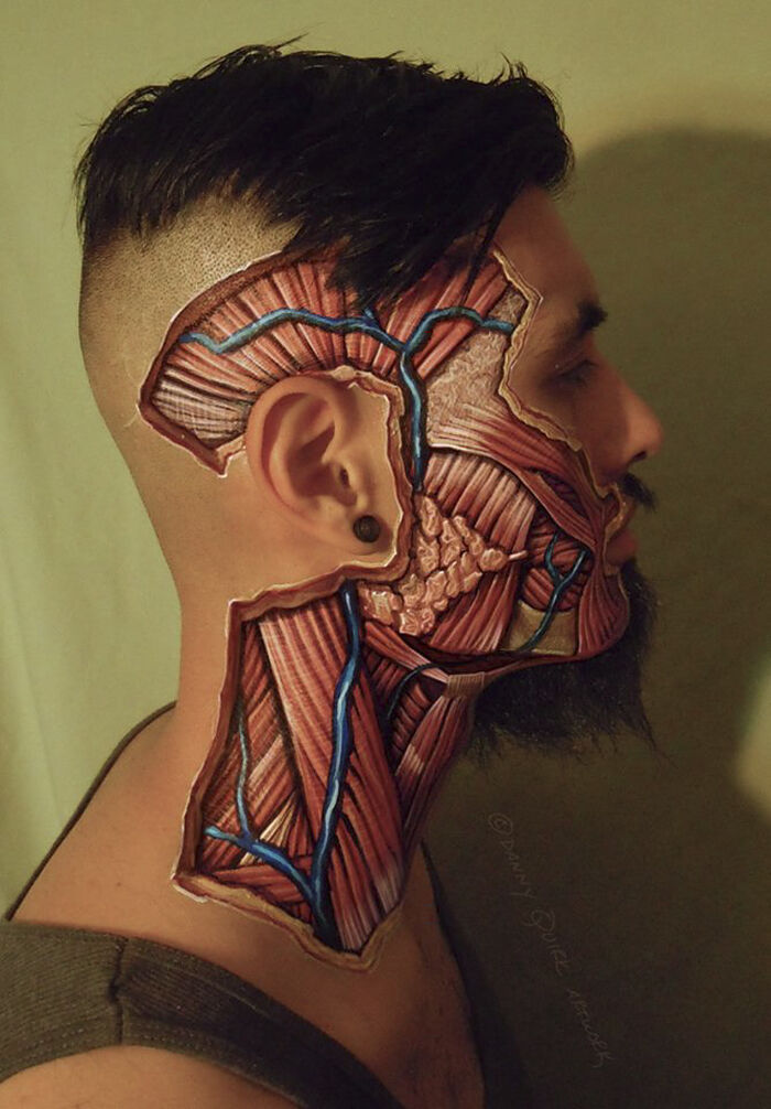 Incredible Anatomy Art Reveals The Body's Hidden Structures