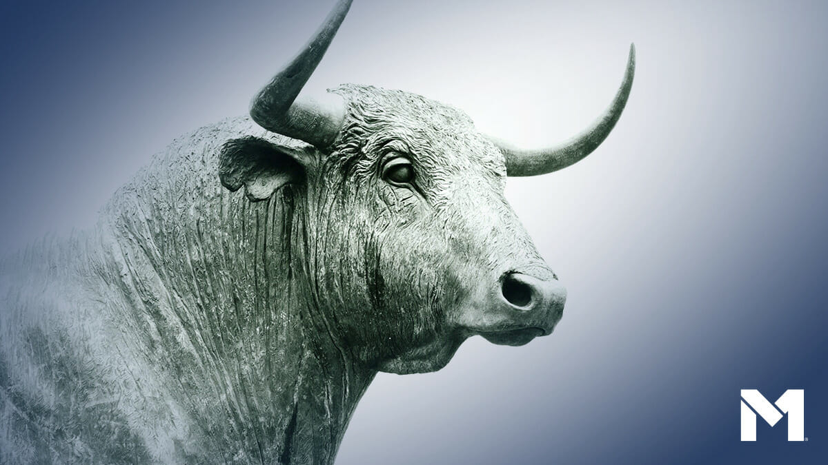 What is a bull market? M1