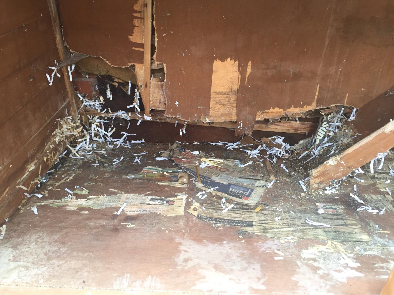 Free extra large pets at home rabbit hutch in B43 Birmingham for free