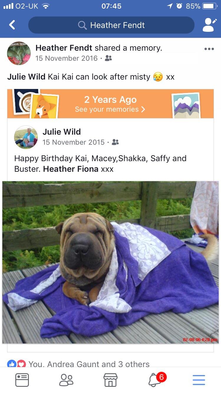 Trans K9 transk9 double car dog crate in CH7 Buckley for £250.00 for