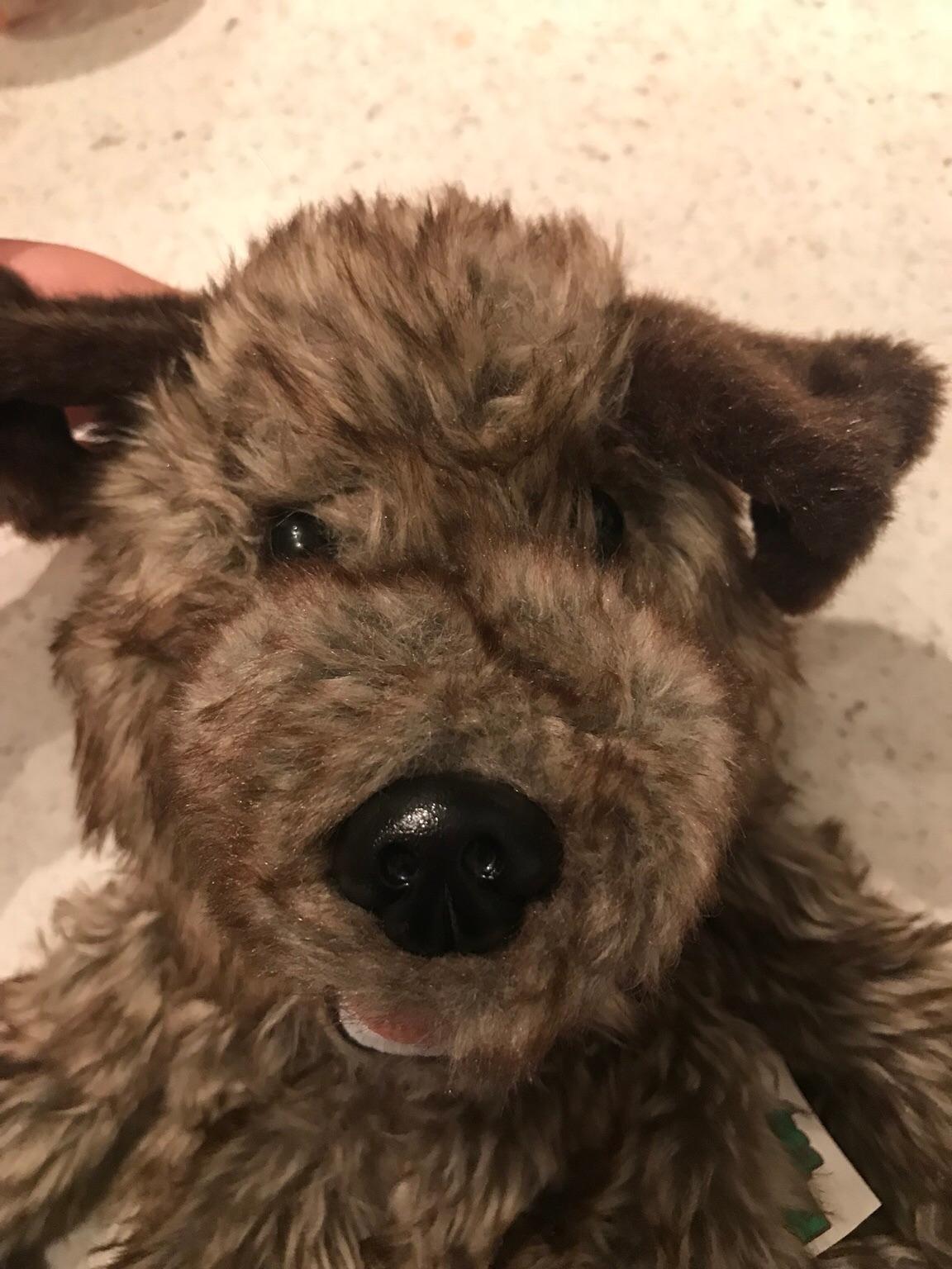 Hacker T Dog Puppet in SE9 Greenwich für 10,00 £ zum Verkauf Shpock DE