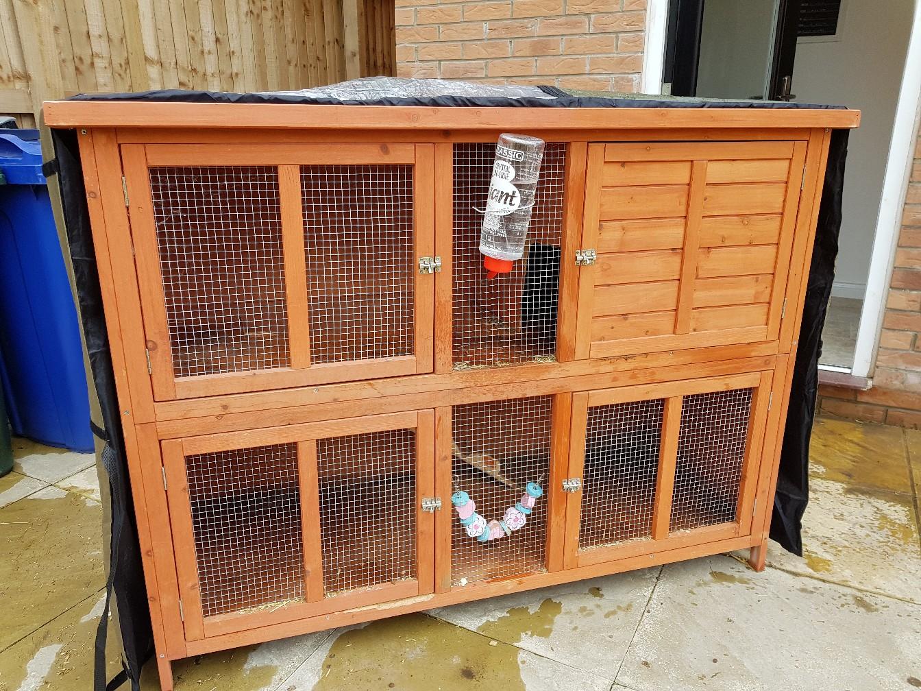 X2 dwarf lop rabbits + hutch and cover in S70 Barnsley für 60,00 £ zum