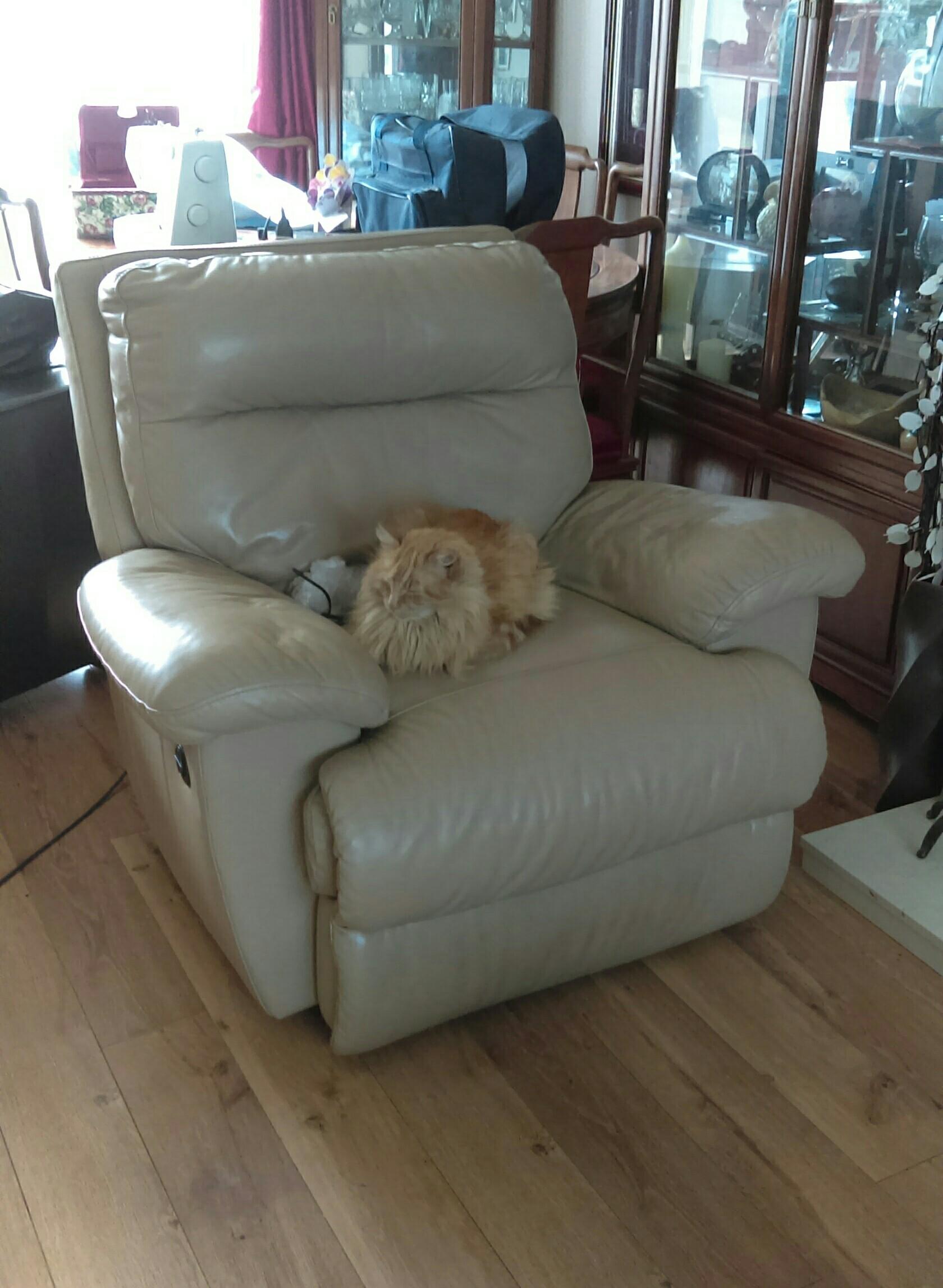 Leather electric recliner chair. in GL4 Gloucester für £ 30,00 zum Verkauf Shpock AT