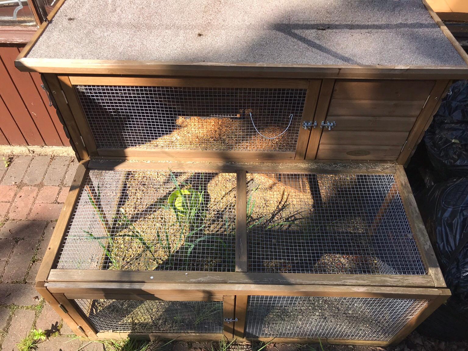 Rabbit hutch in B76 Birmingham für £ 40,00 zum Verkauf Shpock AT