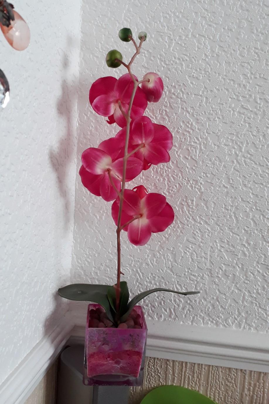 Dunelm artificial flowers in DY1 Dudley for £6.00 for sale Shpock