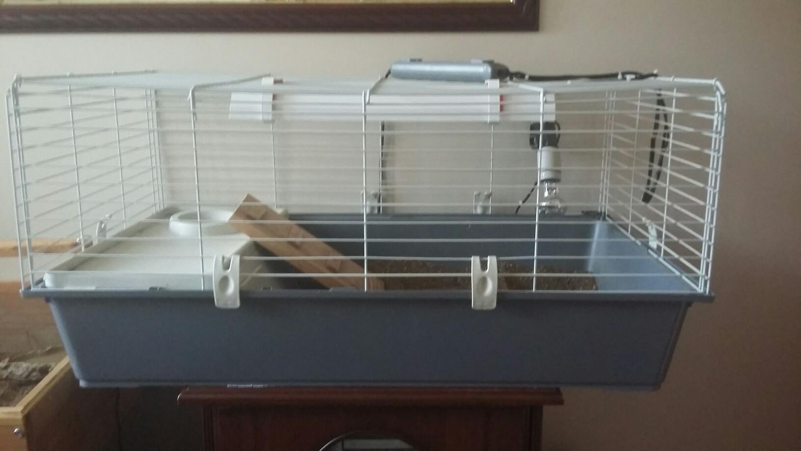 Tortoise ready house /cage in NP44 Cwmbran für £ 15,00 zum Verkauf Shpock AT