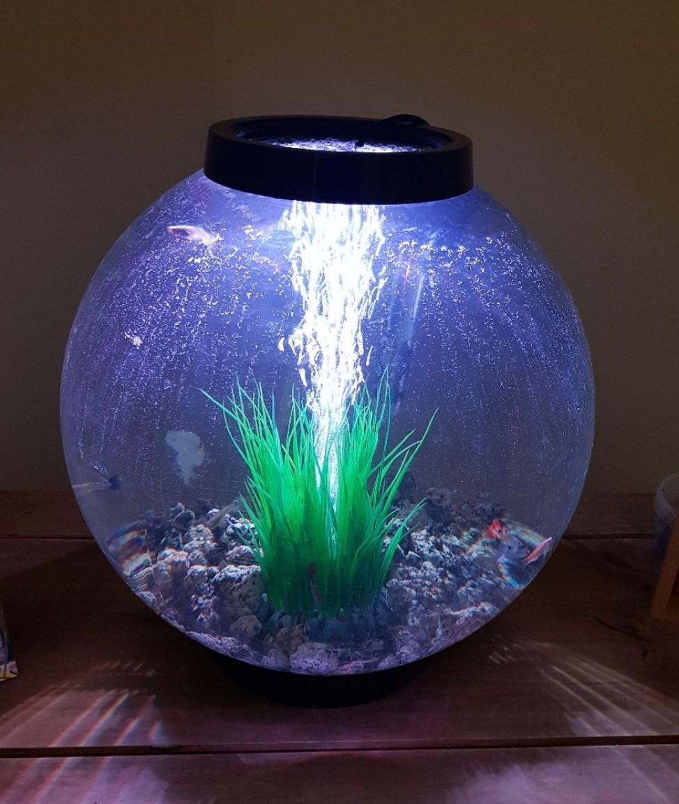 30 litre biorb with filter spares, airstones in DE14 Staffordshire for