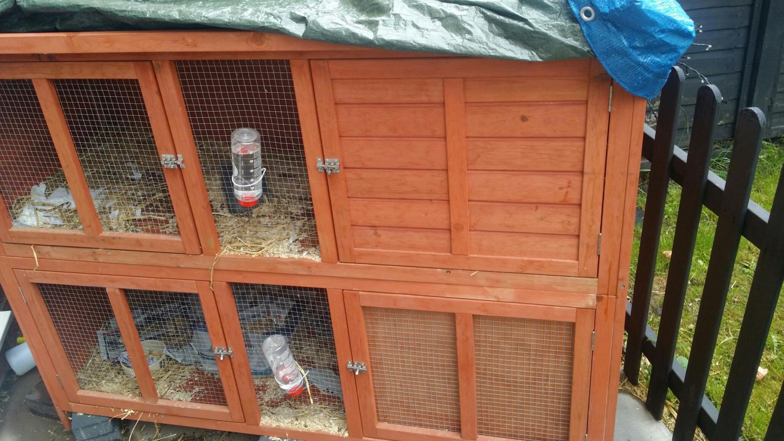 Rabbit hutch in WS10 Walsall für 65,00 £ zum Verkauf Shpock DE