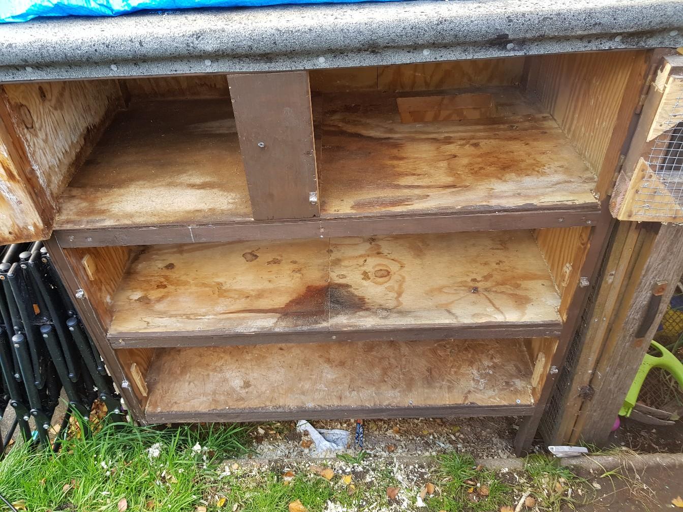 rabbit hutch in B14 Birmingham für 25,00 £ zum Verkauf Shpock DE
