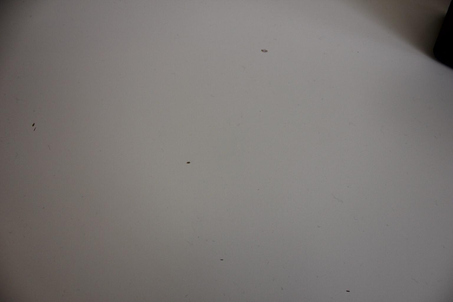 IKEA LINNMON/ALEX Table Top in W1G London for £8.00 for sale Shpock