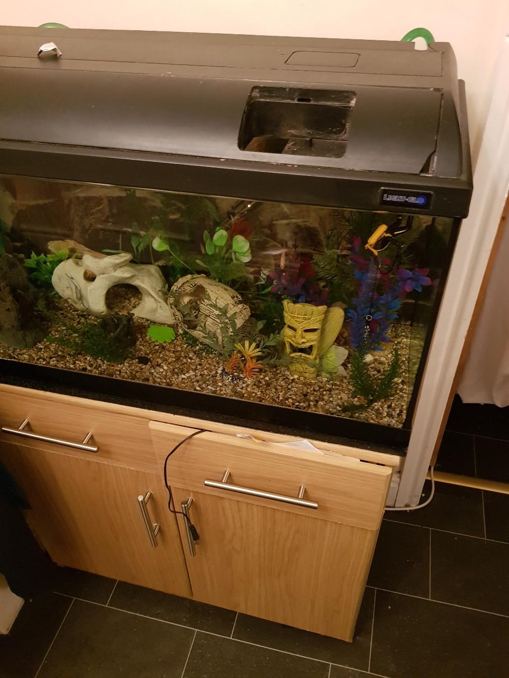 100 litre fish tank in L33 Knowsley für 130,00 £ zum Verkauf Shpock DE