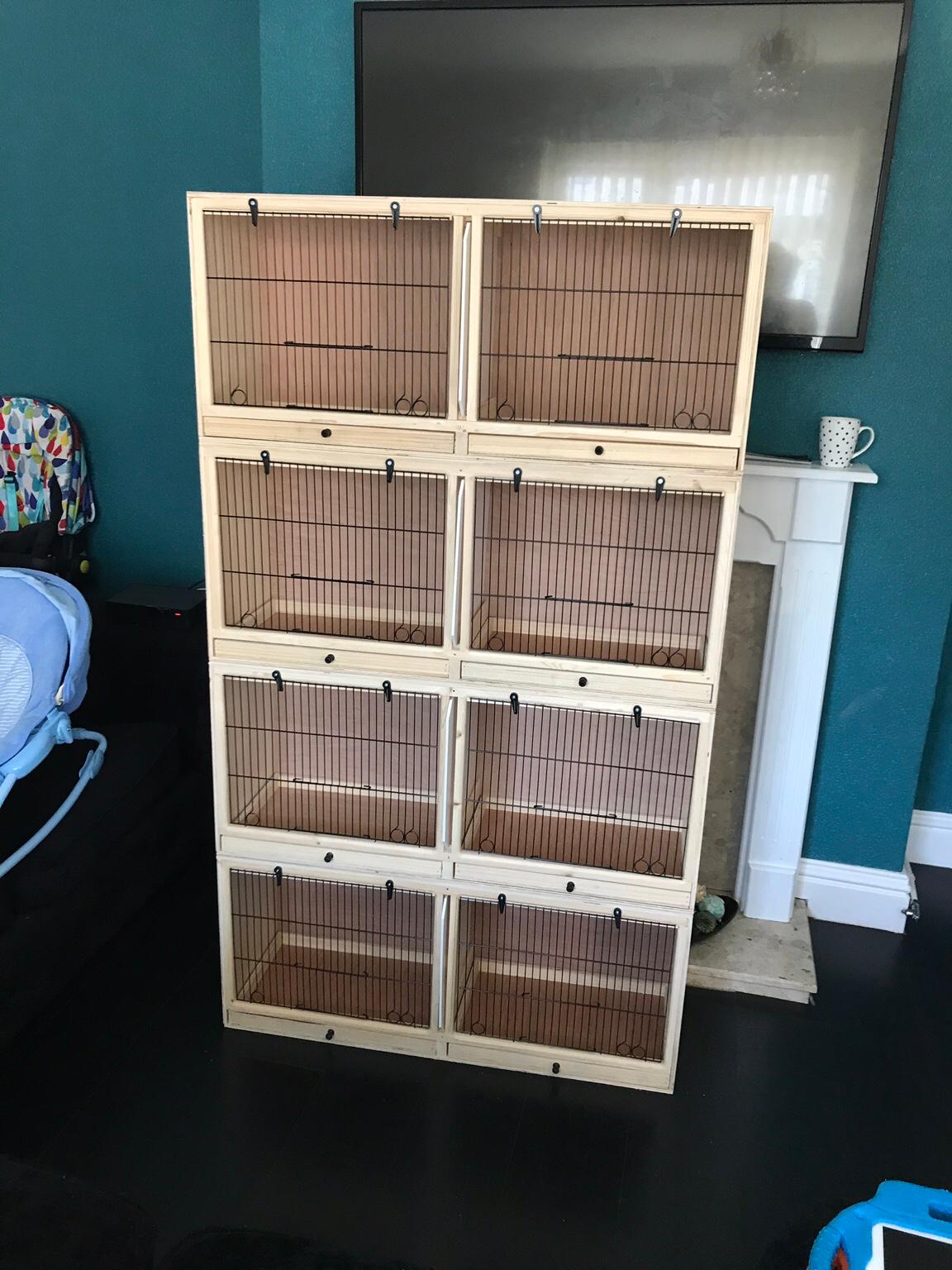 Canary canaries canary’s double breeding cage in DY4 Sandwell for £35.