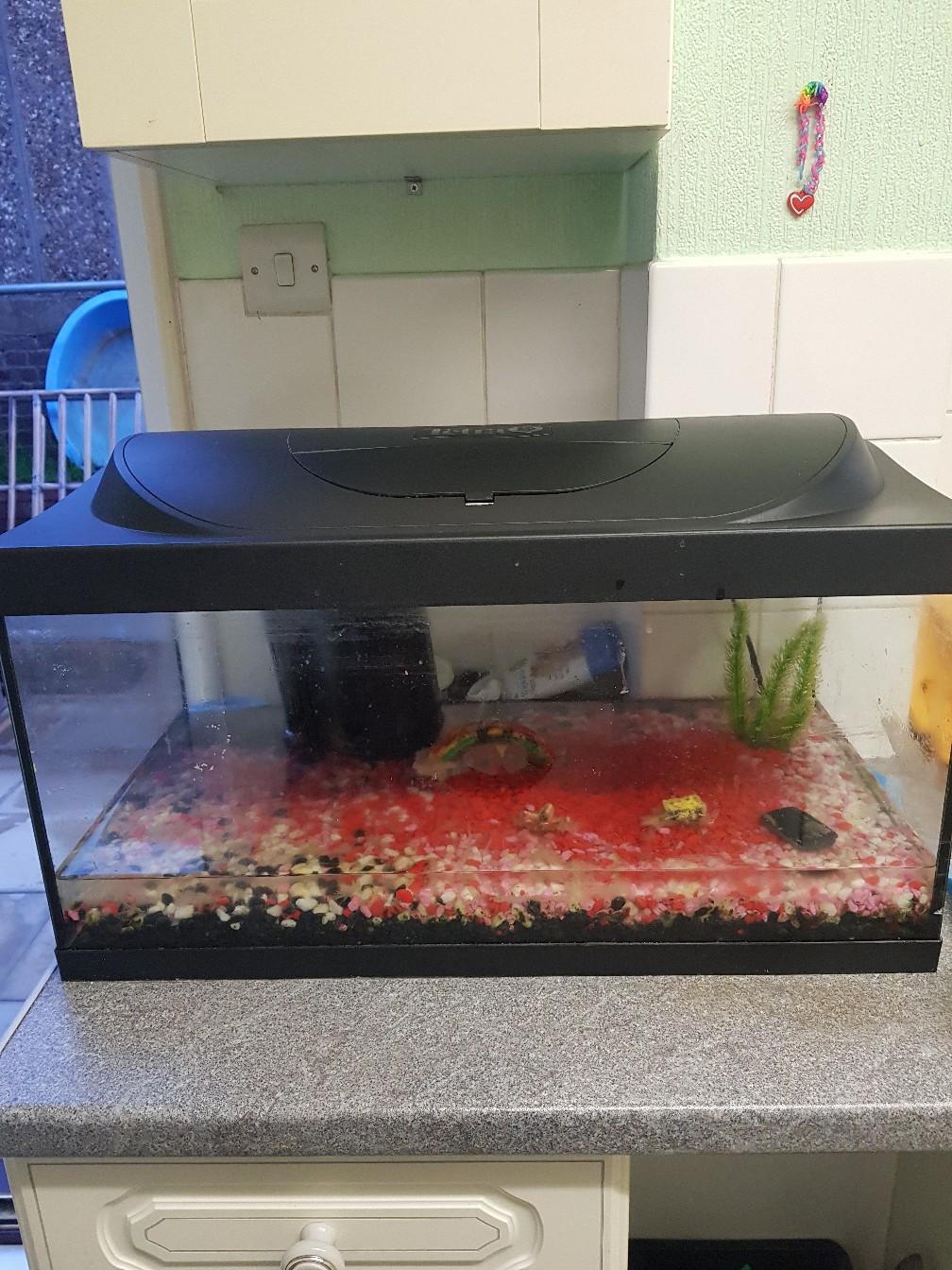 60 litre fish tank not even a year old in BR8 Sevenoaks für 40,00 £ zum
