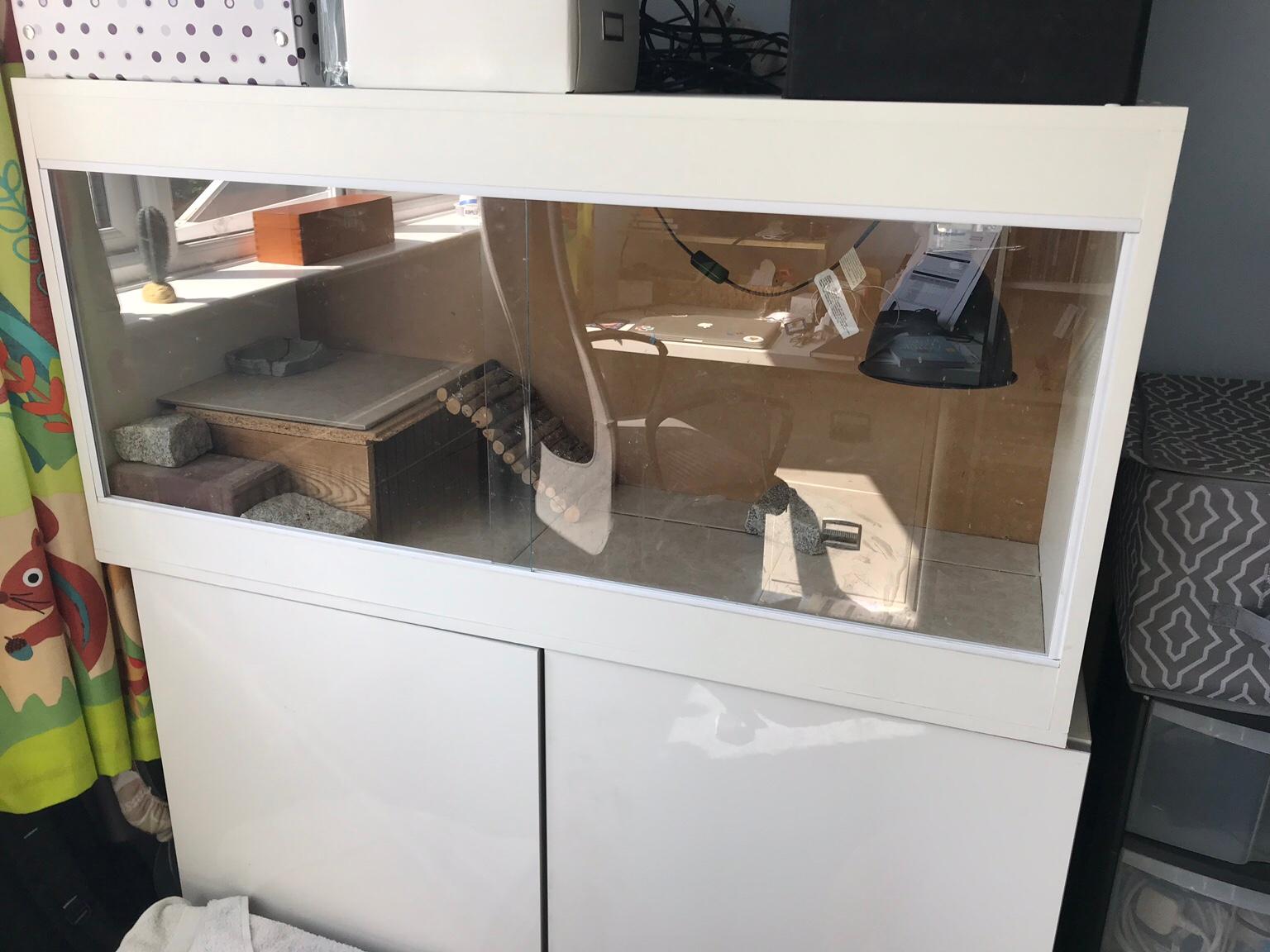 4ft white vivarium and set up in Bolton for £45.00 for sale Shpock