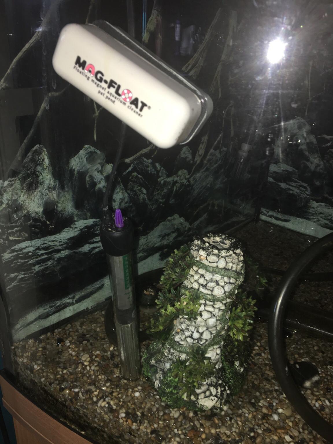 Juwel corner fish tank. in BB1 Blackburn für 180,00 £ zum Verkauf