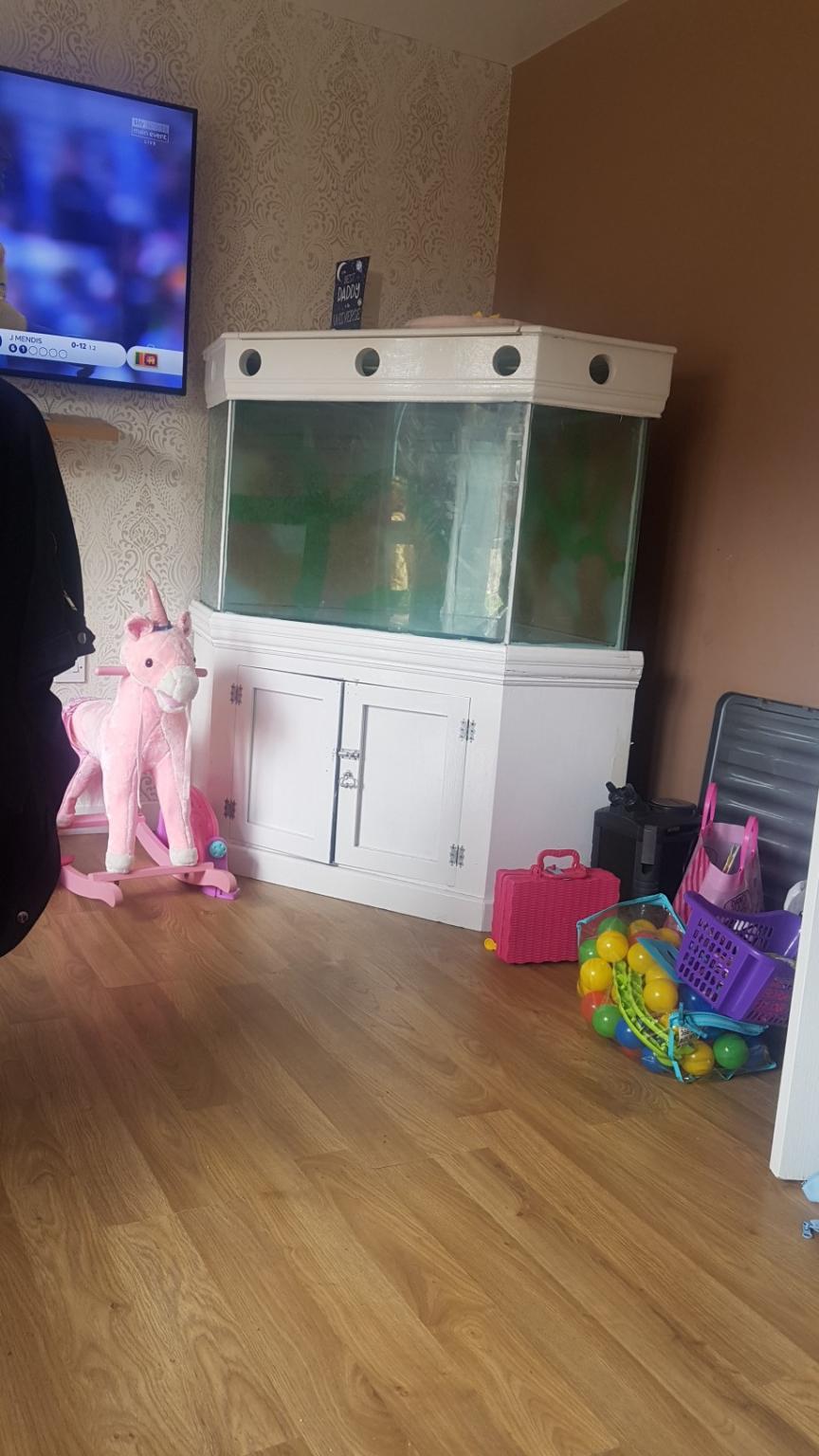 tropical fish tank in DY1 Dudley for £150.00 for sale Shpock