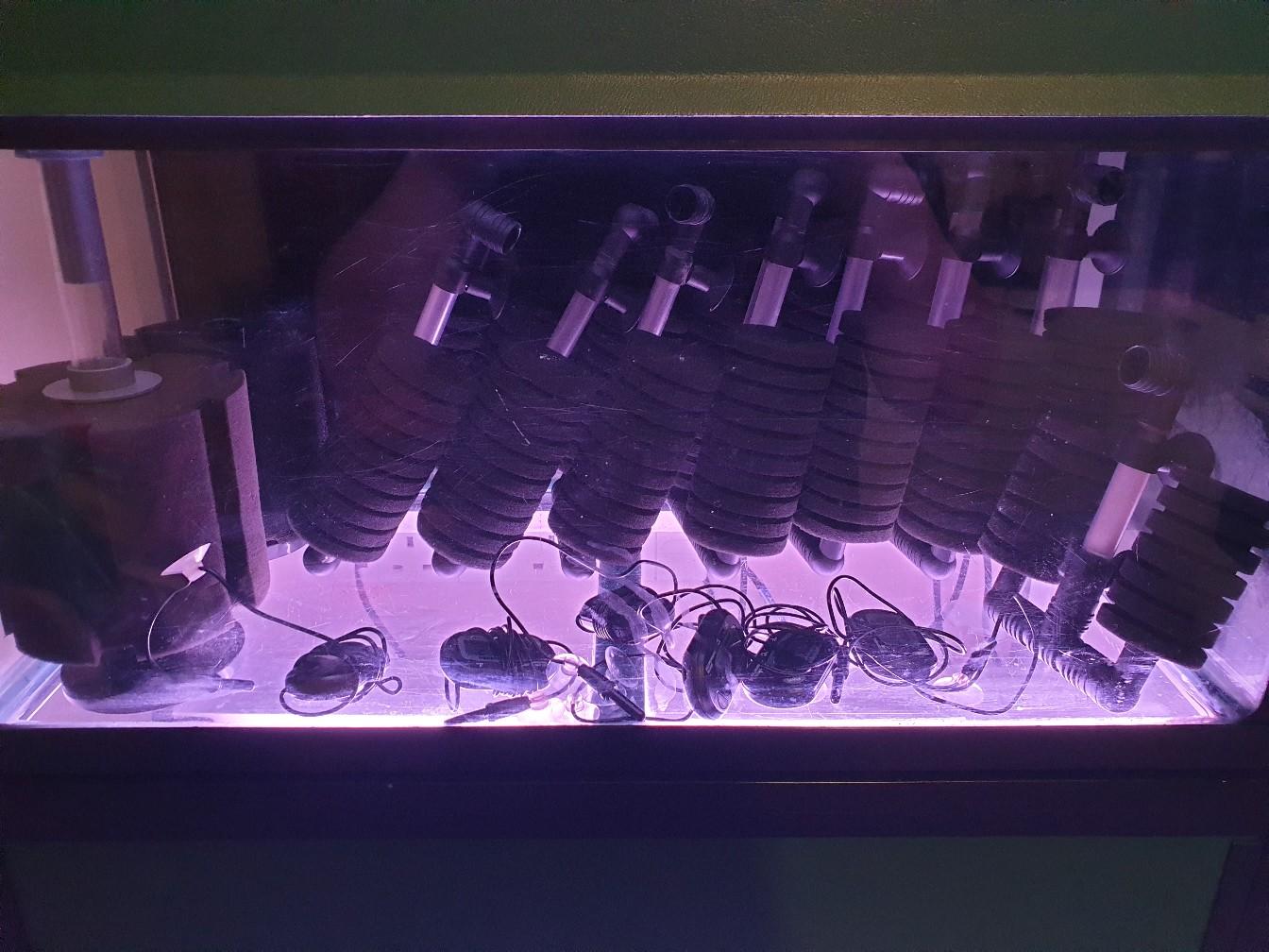 John Allan Fish rack and tanks in SK5 Stockport für 500,00 £ zum