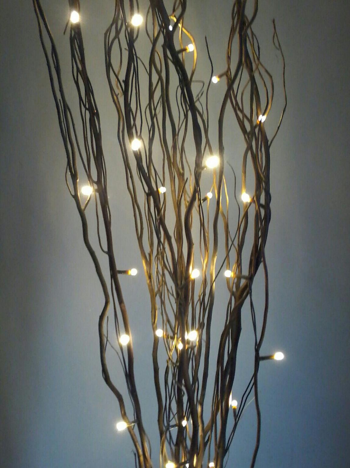 Twig Lights & Vase in North West Leicestershire for £4.00 for sale Shpock