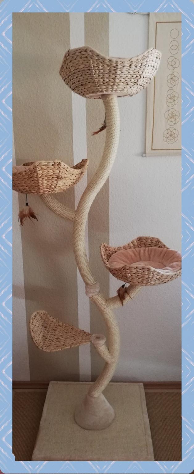 Kratzbaum Cat's Flower XXL neu! Höhe 183 cm in 68219 Mannheim für 80,00